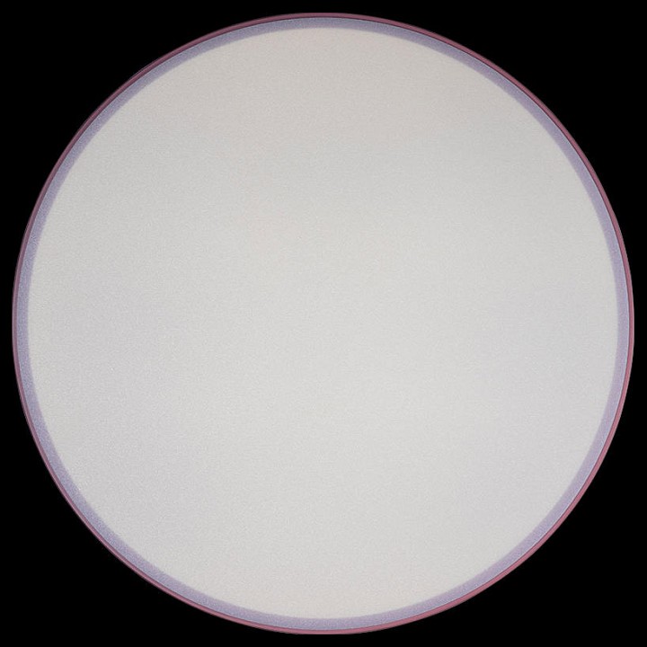 Накладной светильник Loft it Axel 1 10002/24 Pink - 3