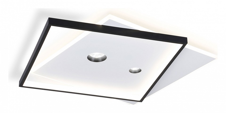 Накладной светильник Ambrella FL FL5065 - 0