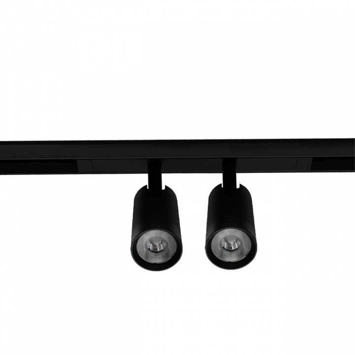 Светильник на штанге Aployt Magnetic track 220 APL.0204.00.18 - 2