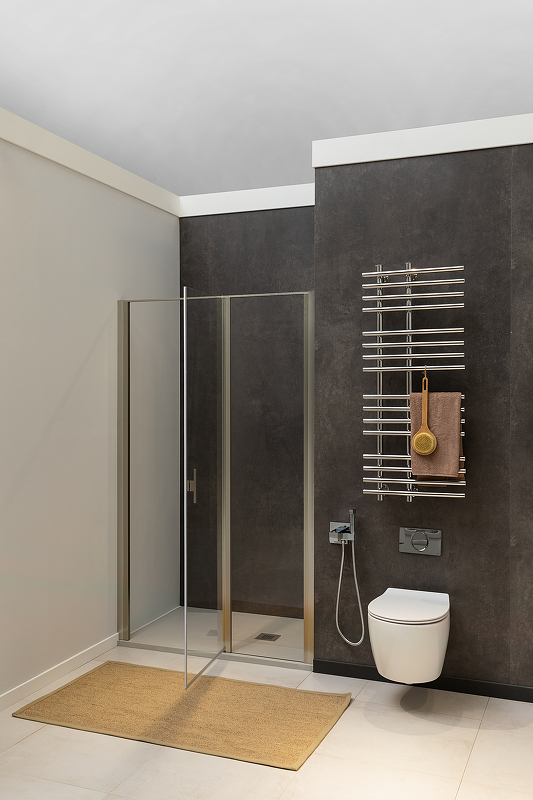 Душевая дверь Allen Brau Priority 160 профиль серебро матовый стекло прозрачное 3.31038.BA - 5