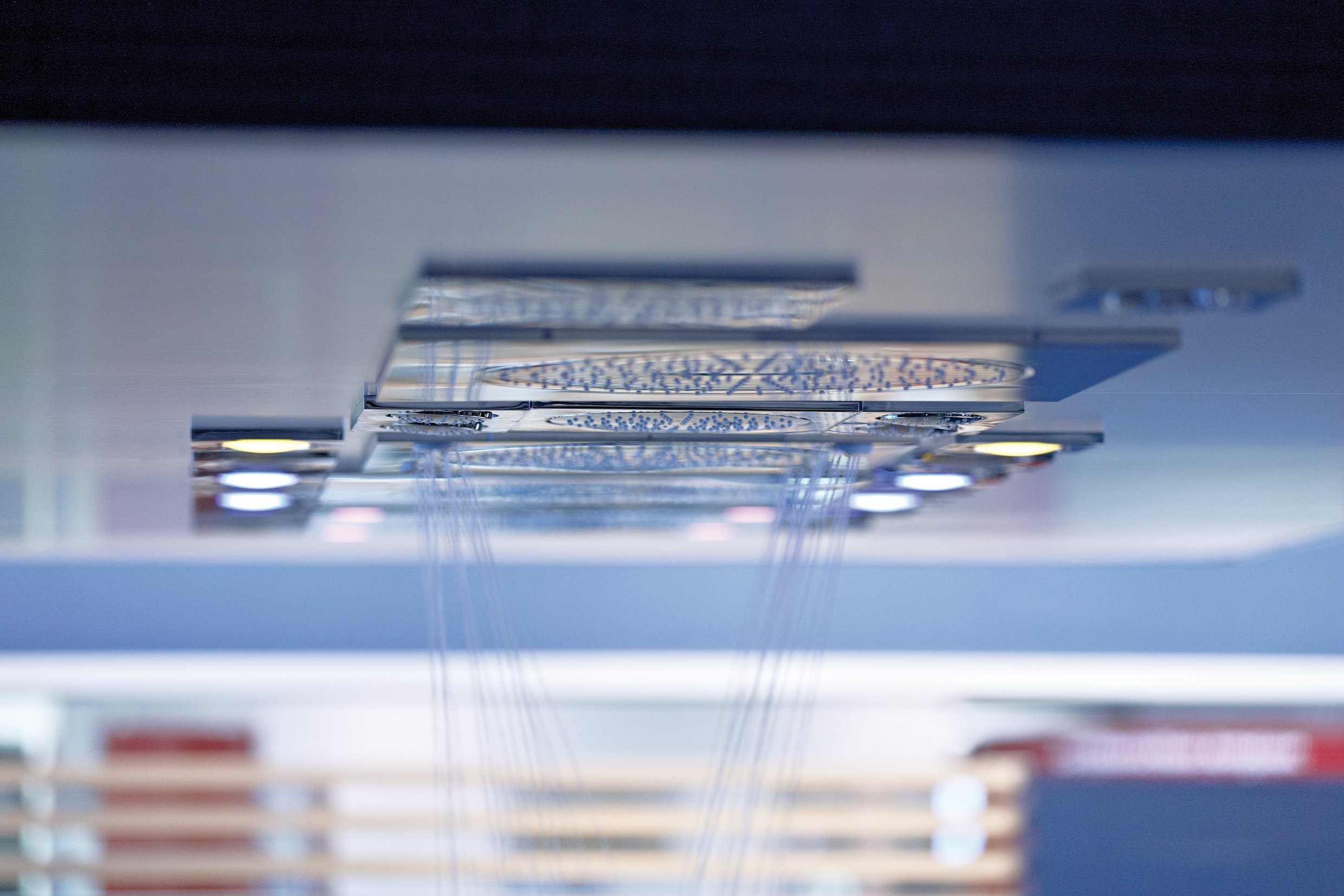 Верхний душ Grohe Rainshower F-Series 10 27467000 - 2