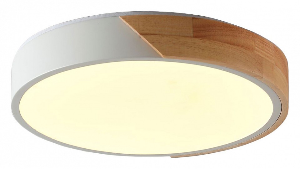 Накладной светильник Zortes ALBERRO ZRS.01289.48 - 1