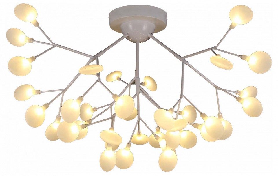 Потолочная люстра EVOLUCE Avola SLE250102-36 - 0