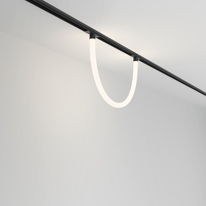 Подвесной светильник Maytoni Tau TR101-2-20W4K-B - 2