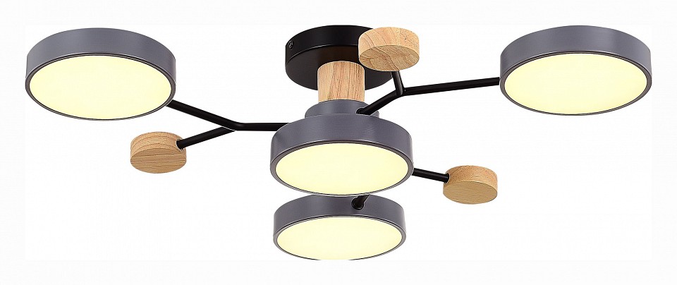 Потолочная люстра EVOLUCE Faema SLE6006-702-04 - 1