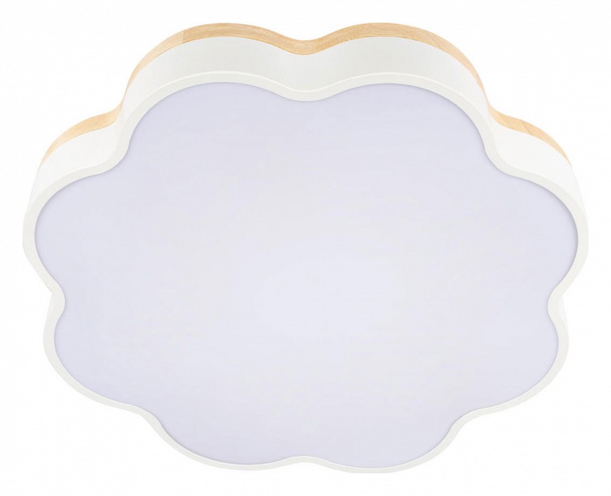 Накладной светильник Loft it Axel 10225/36 White - 3