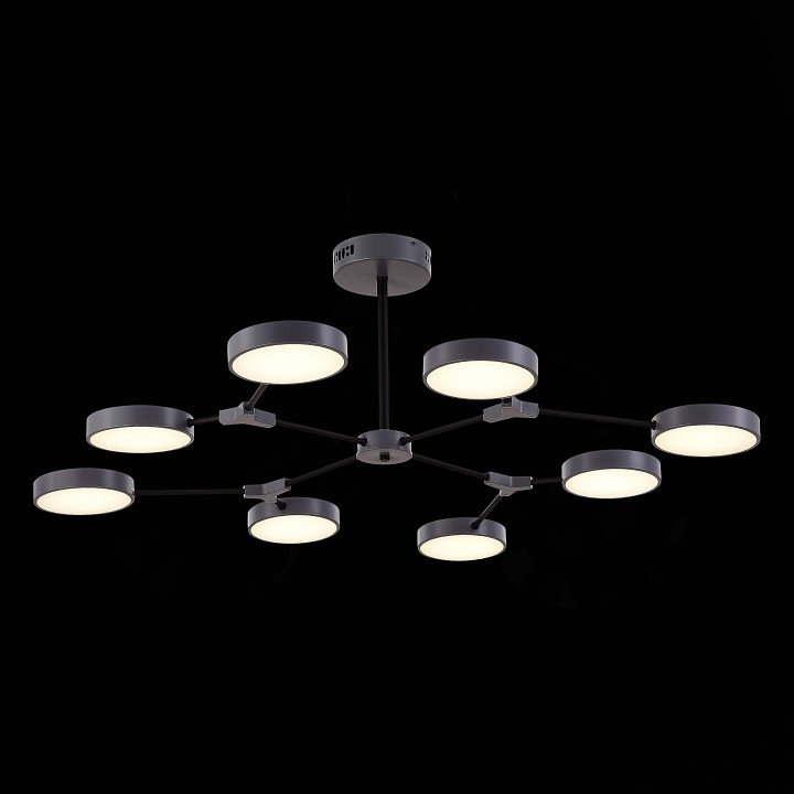 Люстра на штанге EVOLUCE Monta SLE6003-702-08 - 3