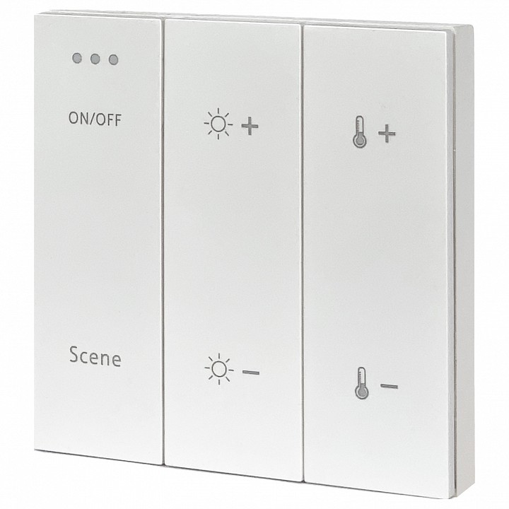 Панель универсальная клавишная накладная ST-Luce Skyline 220 ST015.500.99 - 0