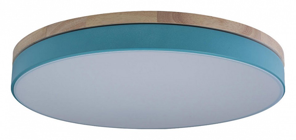 Накладной светильник Loft it Axel 10001/36 Blue - 0