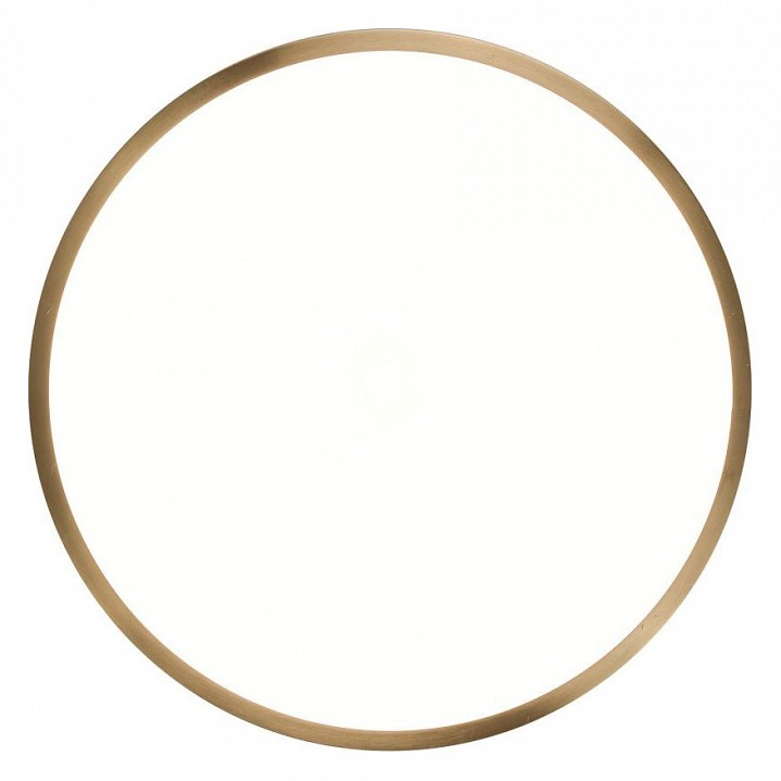 Накладной светильник Zortes Monna ZRS.1209.10 - 1