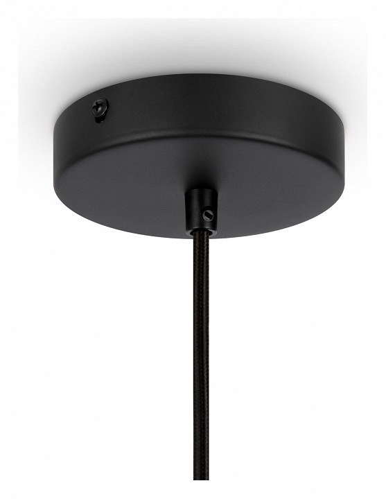 Подвесной светильник Maytoni Roots MOD191PL-01W - 2