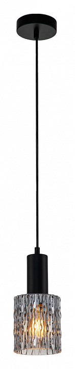 Подвесной светильник Escada Rain 10189/1S Black - 1