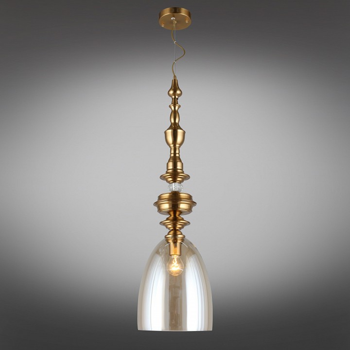 Подвесной светильник Aployt Rena APL.602.06.01 - 1