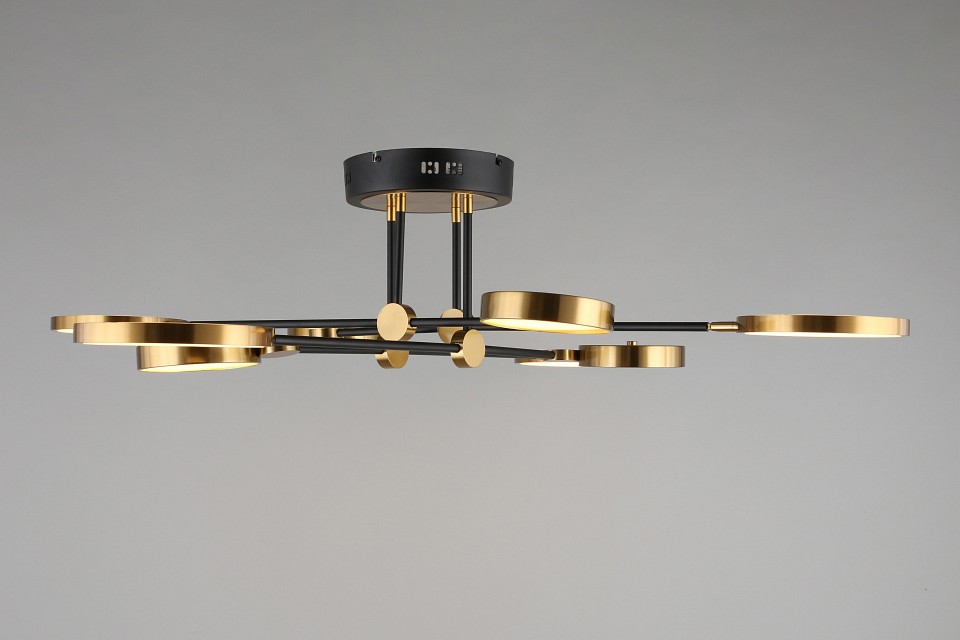 Потолочная люстра Aployt Ines APL.043.07.65 - 5