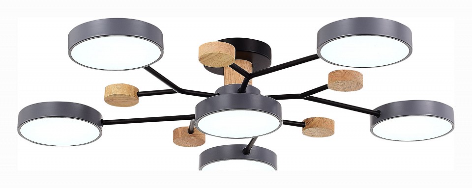 Потолочная люстра EVOLUCE Faema SLE6006-702-06 - 3