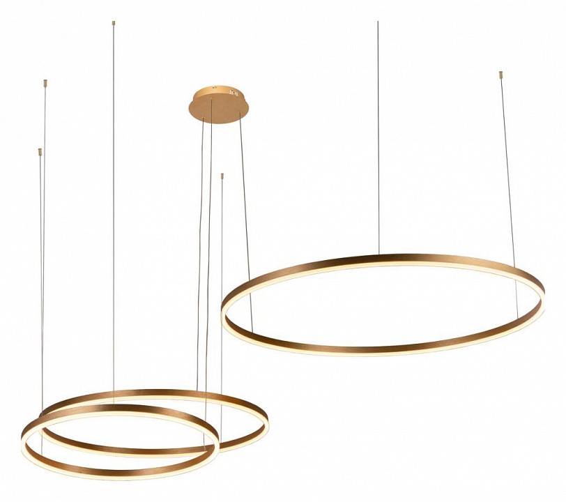 Подвесной светодиодный светильник Loft IT Ring 10017/3M - 0