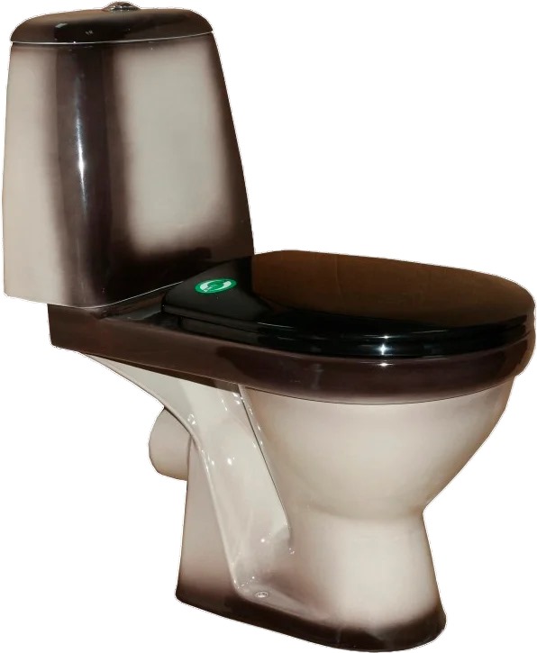 Унитаз-компакт напольный Rosa Премьер 4620008191188 - 0