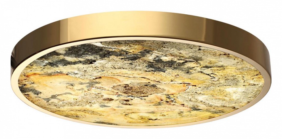 Накладной светильник Odeon Light Bergi 5079/40L - 1