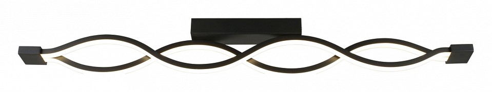 Накладной светильник Aployt Nadayn APL.002.12.36 - 0