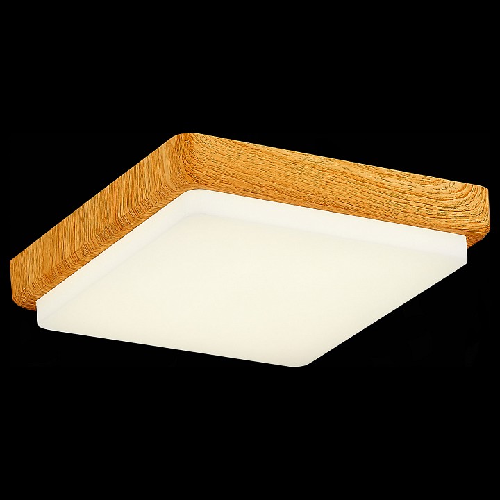 Накладной светильник EVOLUCE Taddio SLE200202-01 - 4