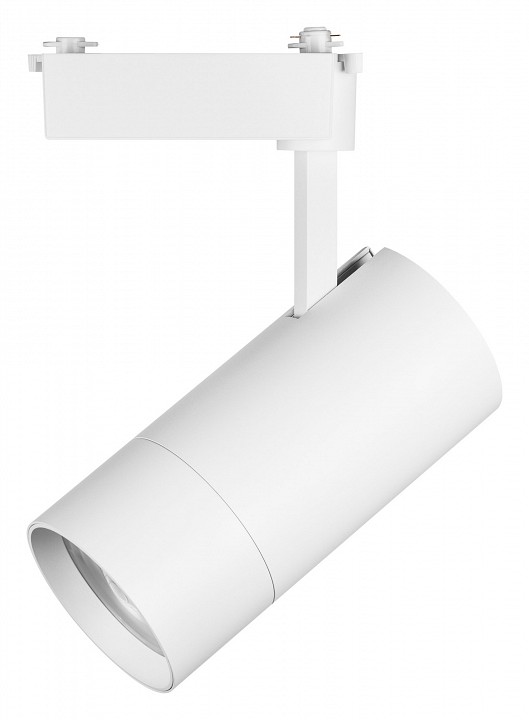 Светильник на штанге Lightstar Volta 229446 - 1