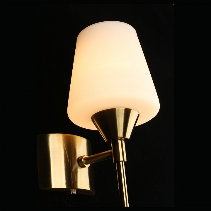 Бра Aployt Lyus APL.840.01.01 - 2