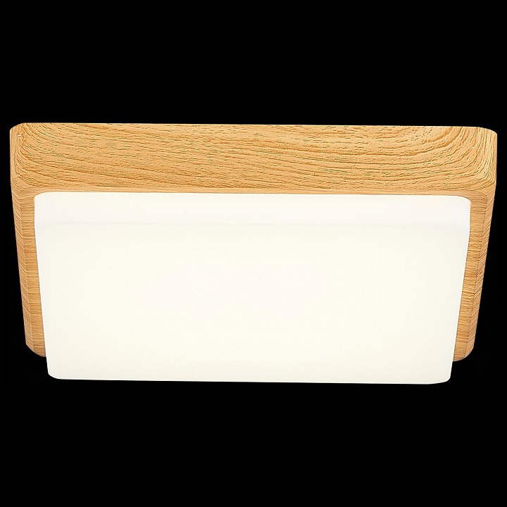 Накладной светильник EVOLUCE Taddio SLE200202-01 - 2