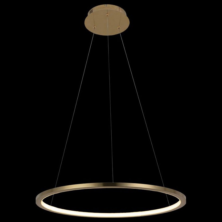 Подвесной светодиодный светильник Loft IT Ring 10014M - 6