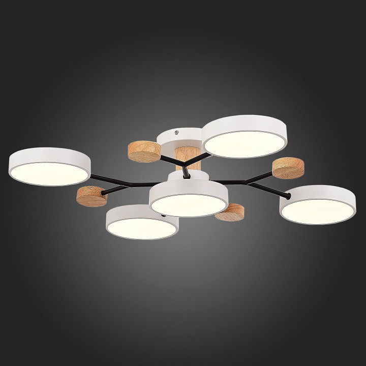 Потолочная люстра EVOLUCE Faema SLE6006-502-05 - 5