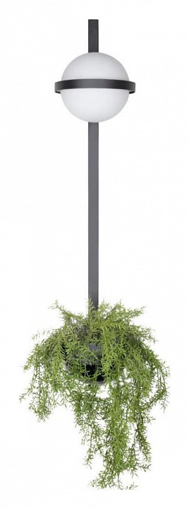 Настенный светильник LOFT IT Jardin 10121W/B - 0