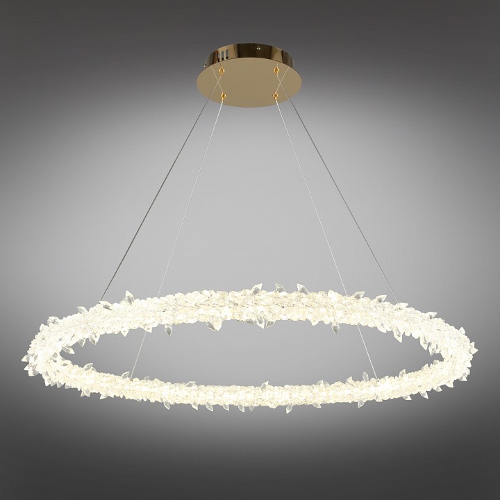 Подвесной светильник Aployt Merion APL.040.03.45 - 9