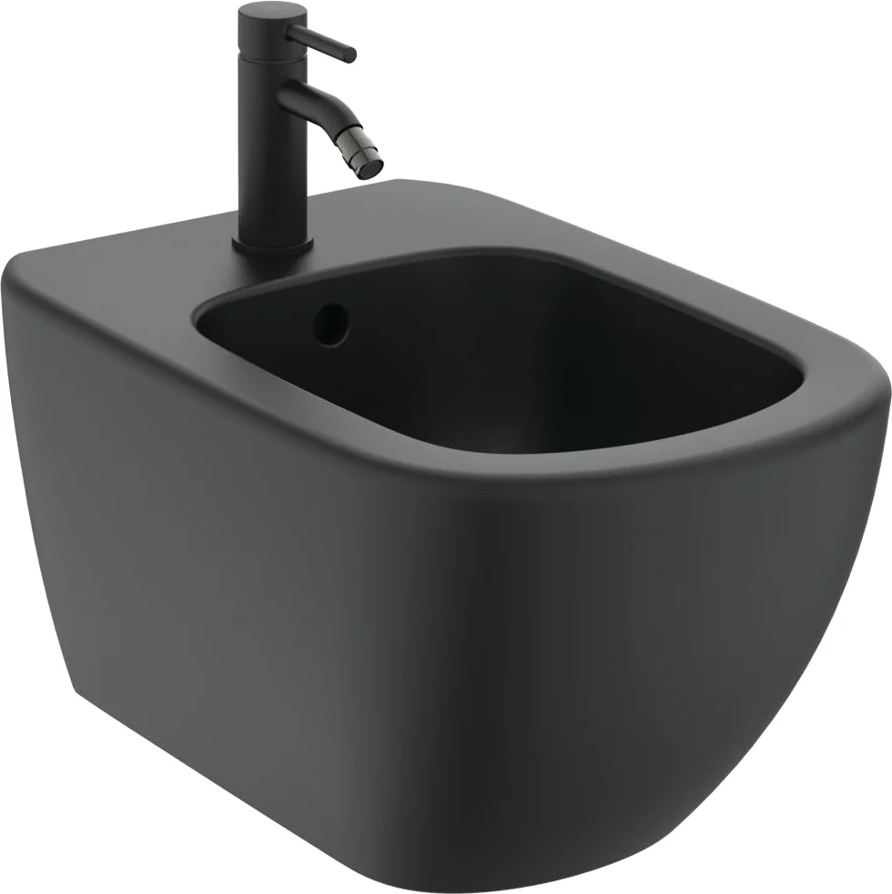 Смеситель для биде Ideal Standard Ceraline черный матовый BC197XG - 3