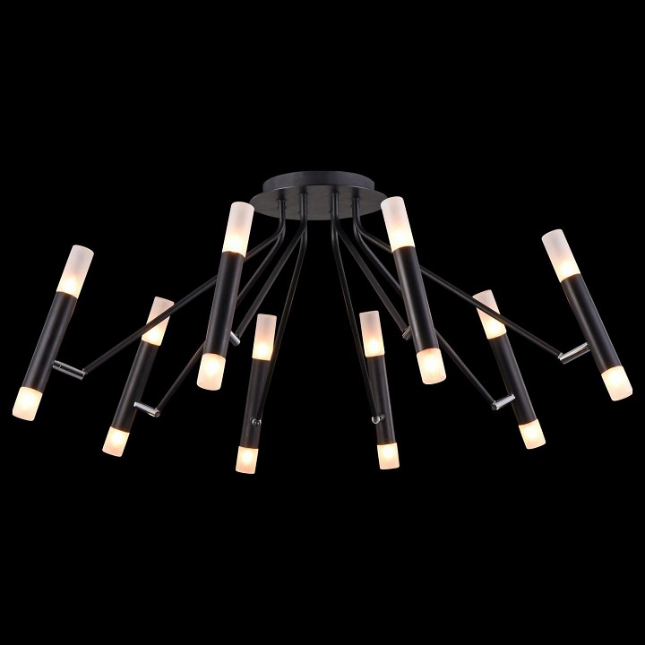 Потолочная люстра Maytoni Vigo MOD620CL-16B - 2