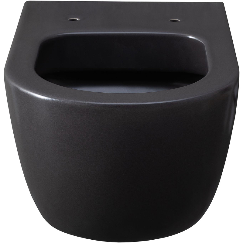Чаша для подвесного унитаза Allen Brau Priority без сиденья антрацит  4.31001.AN - 1