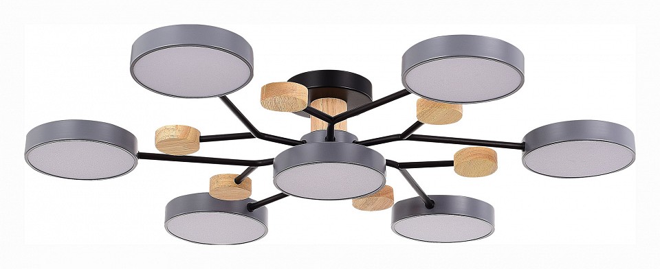 Потолочная люстра EVOLUCE Faema SLE6006-702-07 - 0