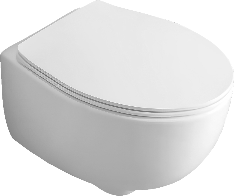 Подвесной унитаз Simas Bormio BR18bi - 0