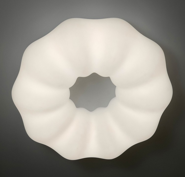 Накладной светильник Zortes SOFT ZRS.1118.4 - 11