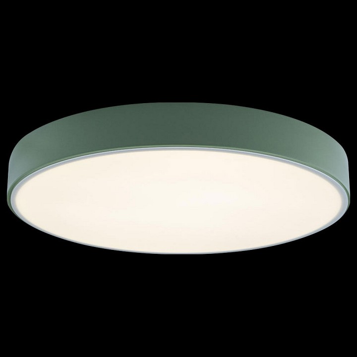 Накладной светильник Loft it Axel 1 10002/24 Green - 2