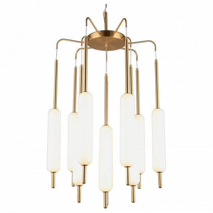 Подвесная люстра Aployt Carla APL.010.03.80 - 0