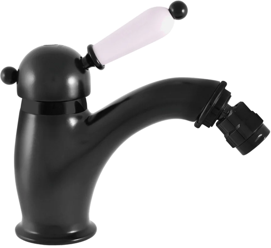 Смеситель для биде Rav Slezak Labe черный матовый L545.5KCMAT - 0