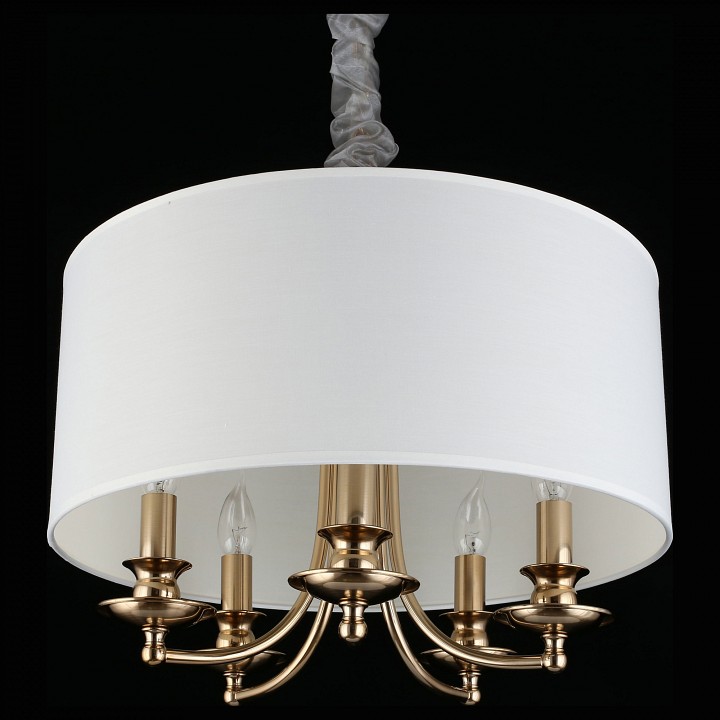 Подвесной светильник Aployt Berze APL.721.06.05 - 1