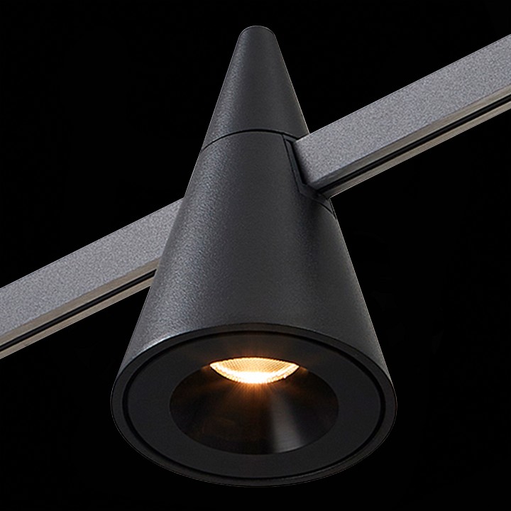 Светильник на штанге ST-Luce Farm ST813.406.05 - 5