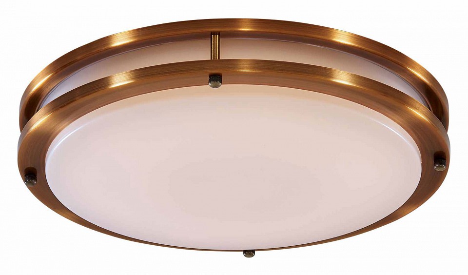 Потолочный светодиодный светильник Citilux Бостон CL709503N - 0