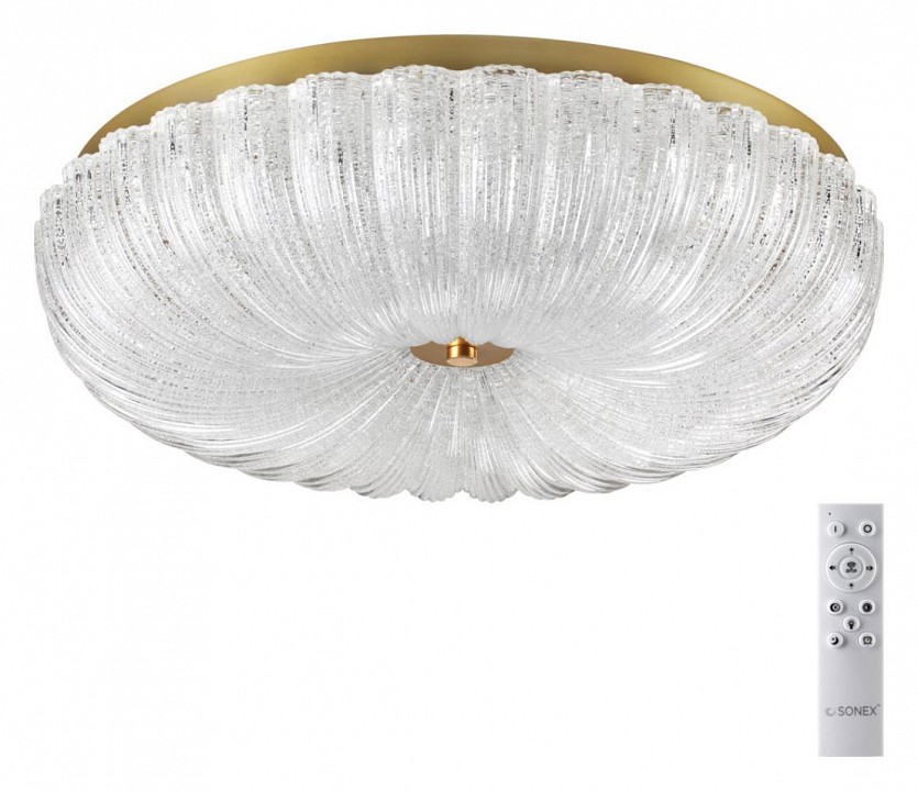 Накладной светильник Sonex Tesoro 7719/60L - 1