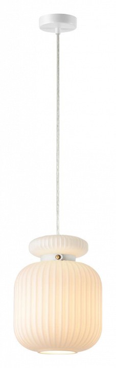 Подвесной светильник Odeon Light Jugi 5042/1C - 1