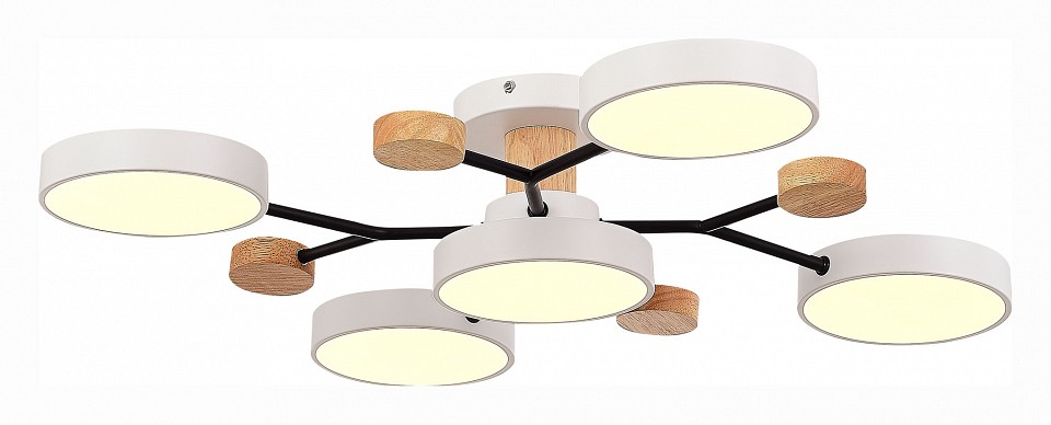 Потолочная люстра EVOLUCE Faema SLE6006-502-05 - 2