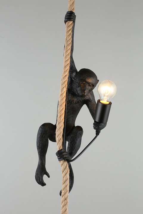 Подвесной светильник Aployt Magali APL.309.16.01 - 8