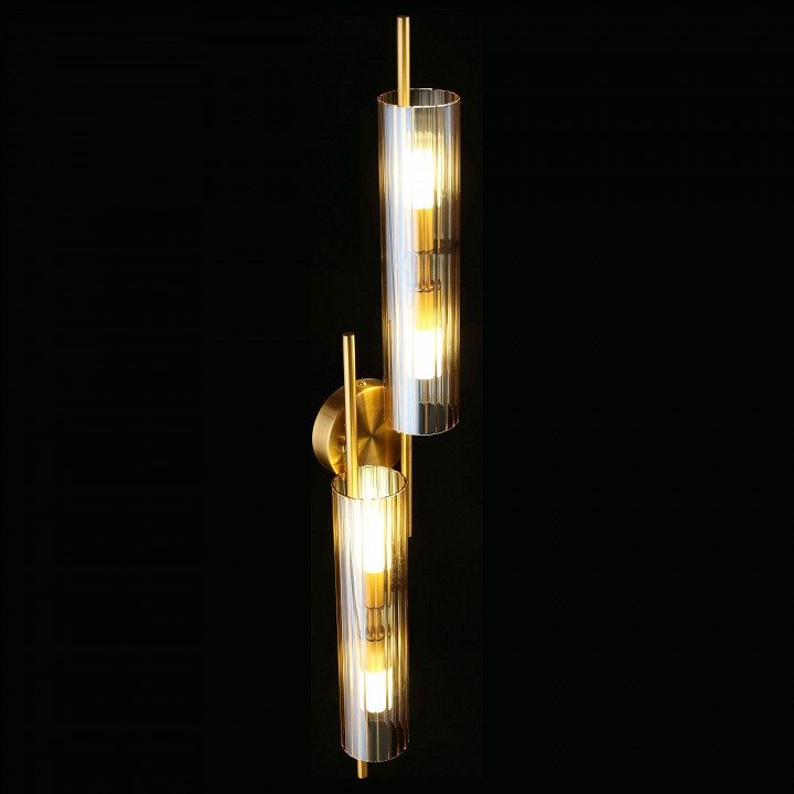 Накладной светильник Aployt Lusia APL.315.07.04 - 4