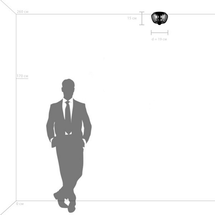 Накладной светильник Lightstar Celesta 809003 - 2