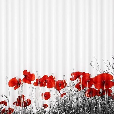 Штора для ванной Wasserkraft Main SC-47101 - 2